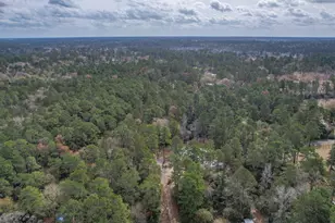 1025 Goodson Loop, Pinehurst, TX 77362 - Photo 43