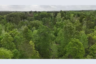 59 Highway 59 Loop Drive, Livingston, TX 77351 - Photo 13
