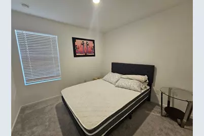 28751 Texas Plains Drive, Hockley, TX 77447 - Photo 9