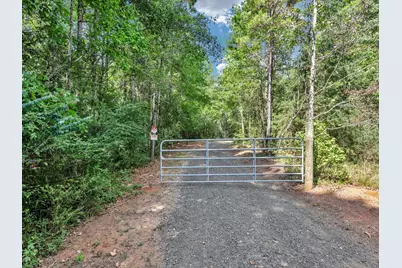 1817 County Road 392, Nacogdoches, TX 75961 - Photo 3