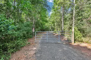 1817 Co Rd 392, Nacogdoches, TX 75961 - Photo 3
