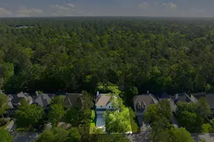 158 Lattice Gate St, Spring, TX 77382 - Photo 33