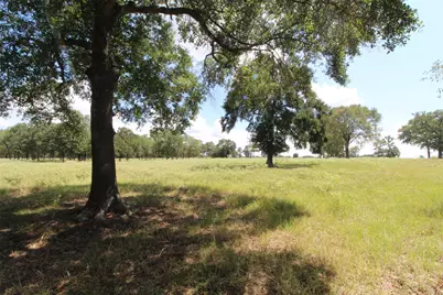 Tbd Bowler Road, Waller, TX 77484 - Photo 21