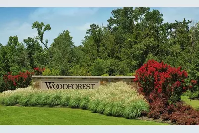 405 Rise Lane, Montgomery, TX 77316 - Photo 19