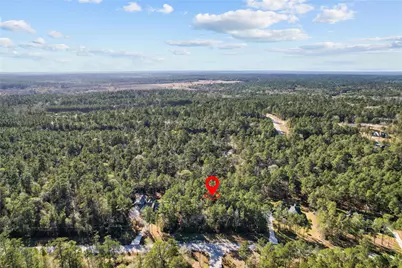 160 Brahman Lane, New Waverly, TX 77358 - Photo 9