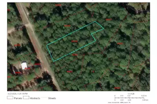 Lot 307 Lumbermans Rd, Onalaska, TX 77360 - Photo 1