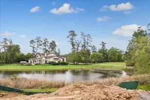 54 Mediterra Way, Spring, TX 77389 - Photo 11