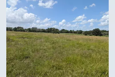 0016 County Road 115, Bedias, TX 77831 - Photo 7