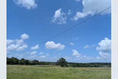 0016 County Road 115, Bedias, TX 77831 - Photo 5