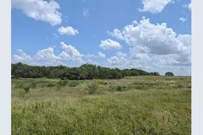 0016 County Road 115, Bedias, TX 77831 - Photo 9