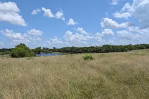 0016 County Road 115, Bedias, TX 77831 - Photo 1