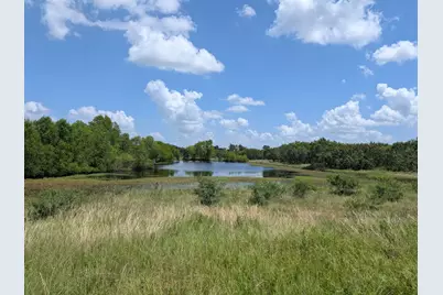 0016 County Road 115, Bedias, TX 77831 - Photo 3
