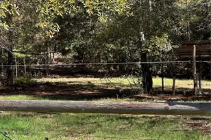 1001 Oak Ridge Road Rd, Willis, TX 77378 - Photo 9