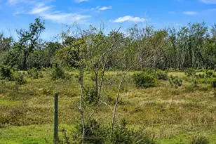 27235 FM 2004, Angleton, TX 77515 - Photo 1