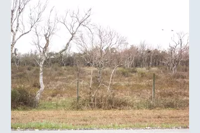 27235 Fm-2004, Angleton, TX 77515 - Photo 7