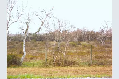 27235 Fm-2004, Angleton, TX 77515 - Photo 5