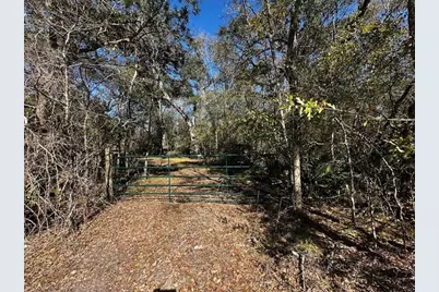 Lot 1-2 County Road 409, Sweeny, TX 77480 - Photo 7