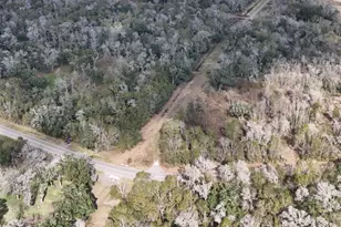 Lot 1-2 County Road 409, Sweeny, TX 77480 - Photo 1