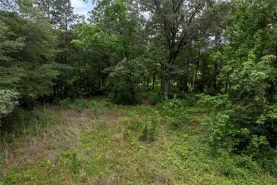 207 Blue Lake Drive, Huffman, TX 77336 - Photo 9
