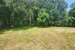 17906 Alexandria Dr, Conroe, TX 77302 - Photo 3