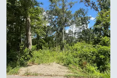 26059 E Christine Drive, Splendora, TX 77372 - Photo 5