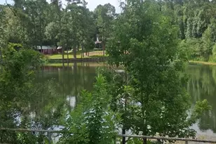 321 Broken Arrow Trail Trail, Goodrich, TX 77335 - Photo 13