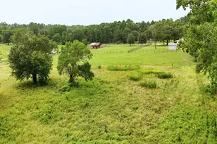 409 Moffett Springs Rd, Huntsville, TX 77320 - Photo 23