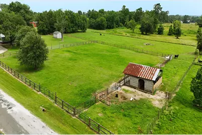 409 Moffett Springs Road, Huntsville, TX 77320 - Photo 3