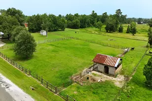 409 Moffett Springs Rd, Huntsville, TX 77320 - Photo 3