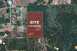 10771 County Rd 351, Plantersville, TX 77363 - Photo 1