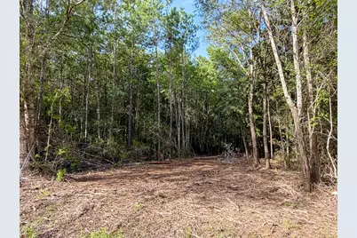 08 Fm 787, Saratoga, TX 77585 - Photo 7
