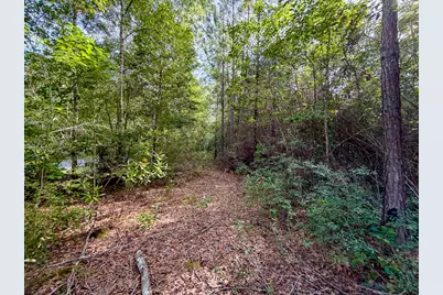 08 Fm 787, Saratoga, TX 77585 - Photo 3