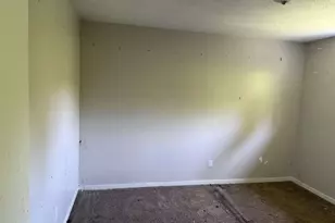 19847 County Rd 319, Brazoria, TX 77422 - Photo 9