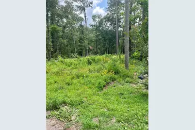 10820 Royal York Drive, Conroe, TX 77303 - Photo 3