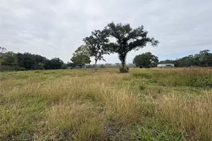 000000 Cr-42, Rosharon, TX 77583 - Photo 1