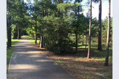 71 E Hobbit Glen Drive, The Woodlands, TX 77384 - Photo 21