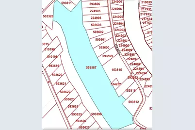 0 County Road 461A, Brazoria, TX 77422 - Photo 5