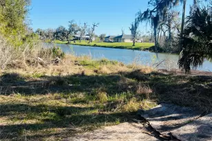 0 County Road 461A, Brazoria, TX 77422 - Photo 1