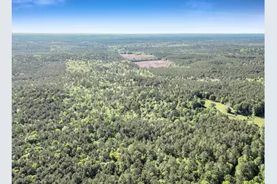 0000 County Road 425, Kirbyville, TX 75956 - Photo 3