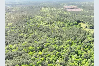 0000 County Road 425, Kirbyville, TX 75956 - Photo 13