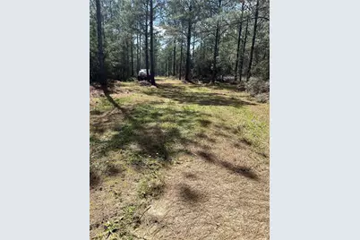 462 Timber Rd, Livingston, TX 77351 - Photo 5