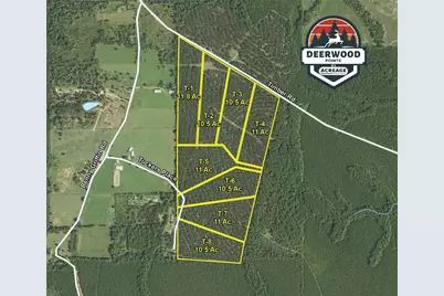 462 Timber Rd, Livingston, TX 77351 - Photo 9