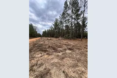 462 Timber Rd, Livingston, TX 77351 - Photo 13