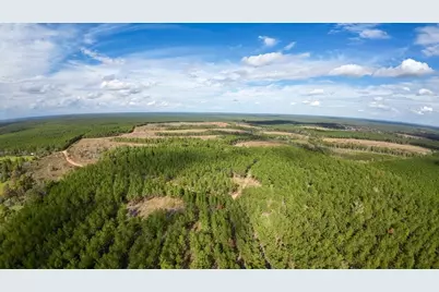 462 Timber Rd, Livingston, TX 77351 - Photo 1