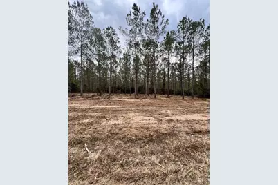 462 Timber Rd, Livingston, TX 77351 - Photo 11