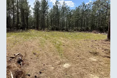 462 Timber Rd, Livingston, TX 77351 - Photo 3