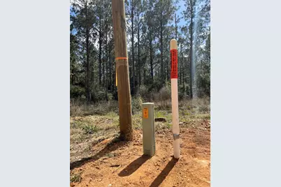 462 Timber Rd, Livingston, TX 77351 - Photo 7