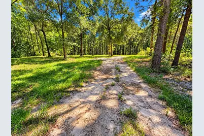 20275 Fm 770, Saratoga, TX 77585 - Photo 1