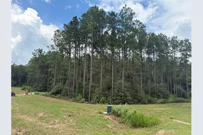 15648 Cricket Creek Court, Willis, TX 77378 - Photo 5