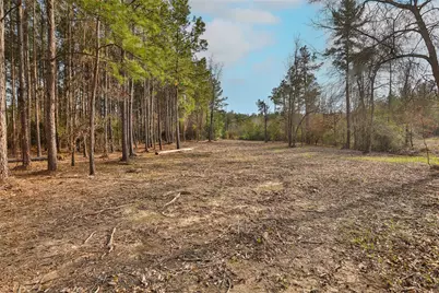 450 Williamson Way Way, Lovelady, TX 75851 - Photo 9